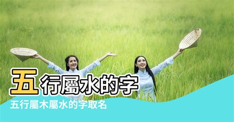 五行屬水的名字|八字起名五行屬「水」的字及名字大全